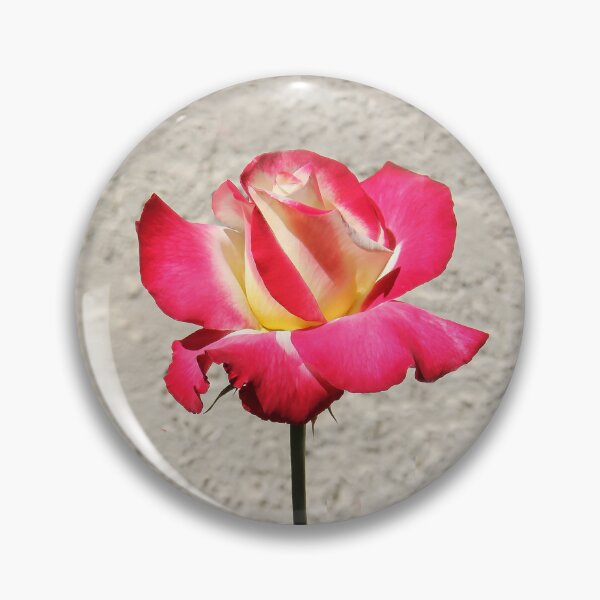 Item preview, Double Delight Rose  designed and sold by heatherfriedman.
