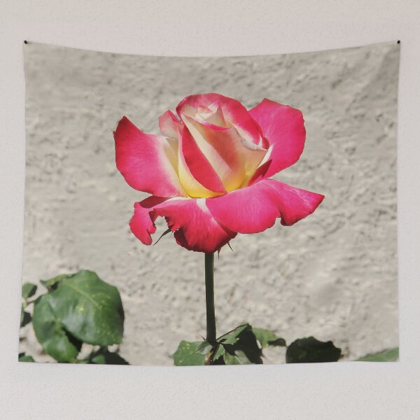 Item preview, Double Delight Rose  designed and sold by heatherfriedman.