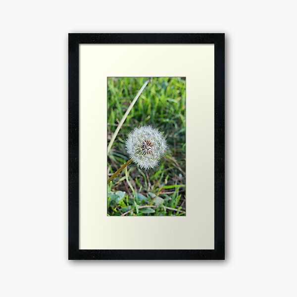 Item preview, Dainty Dandelion designed and sold by Handmade Bliss.
