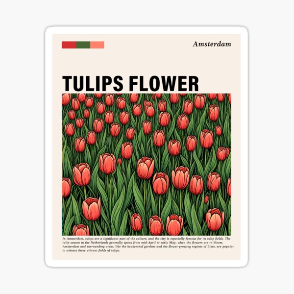Aperçu de l'œuvre Tulipes en fleurs à Amsterdam créée et vendue par RetroTraveler.