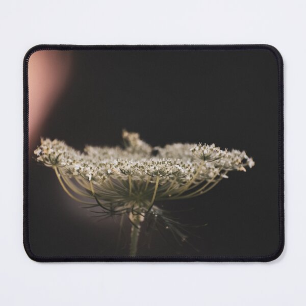 Item preview, Queen Anne designed and sold by Hazardous Dreams Media.