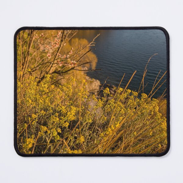 Item preview, spring 2025 in ohrid designed and sold by distracted.