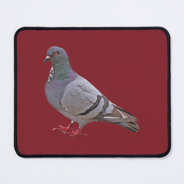 Item preview, Pigeon designed and sold by STHogan2.