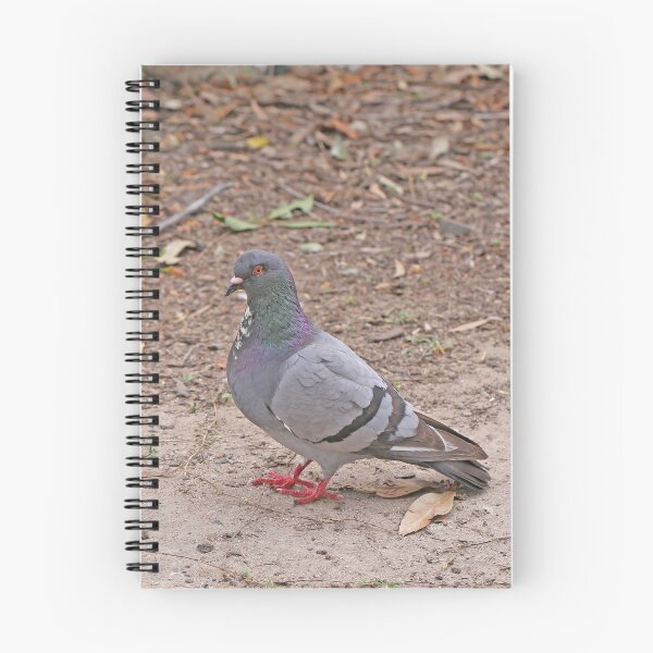 Item preview, Pigeon designed and sold by STHogan2.