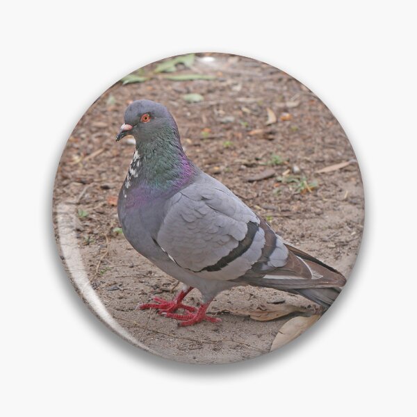 Item preview, Pigeon designed and sold by STHogan2.