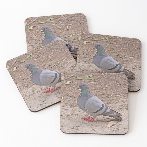Item preview, Pigeon designed and sold by STHogan2.