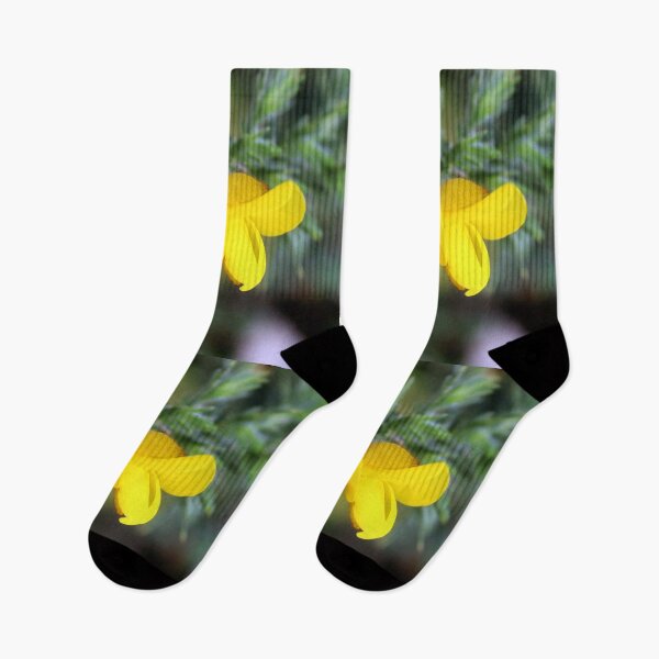 Artikelvorschau, Frühlingsblume entworfen und verkauft von KathleenDawson.