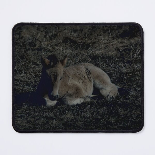 Item preview, Frozen reality - Beautiful nature 204 designed and sold by deep-sea-birds.