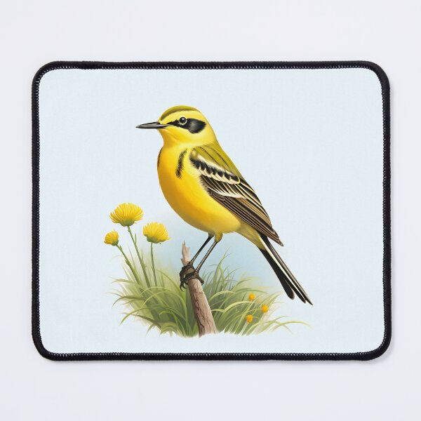 Item preview, Yellow Wagtail bird designed and sold by DerSenat.