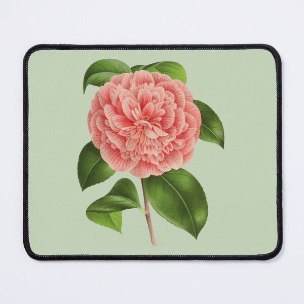Item preview, Salmon Pink Camellia Flower designed and sold by IrisAndIvy.