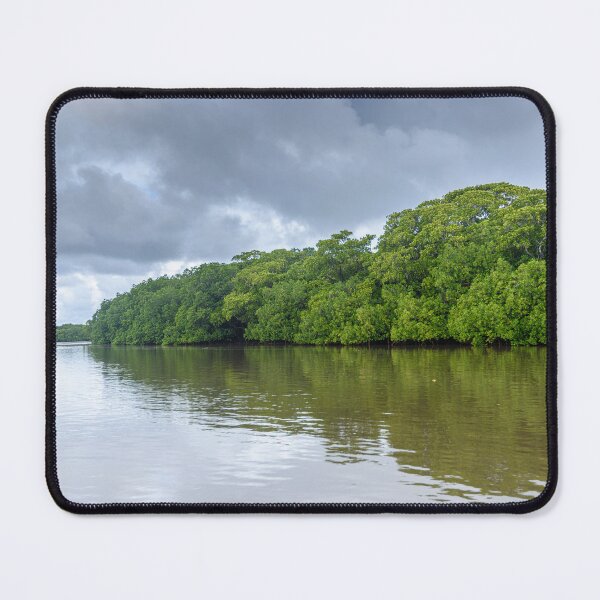 Item preview, Mangrove trees in Fiji designed and sold by Dreamscape Eclectic .