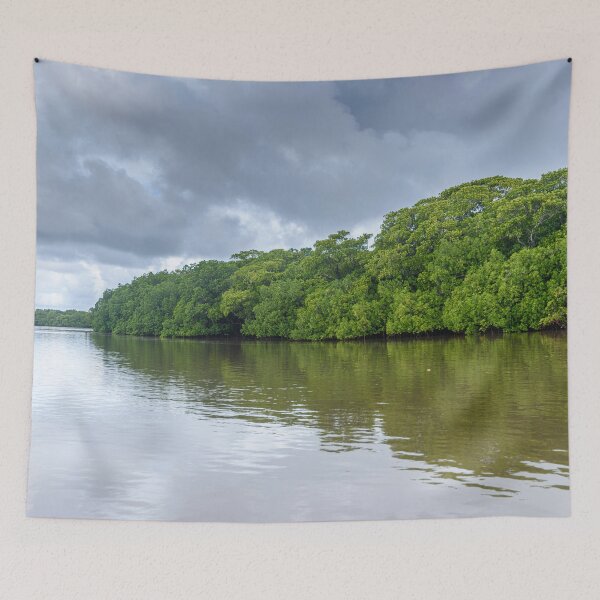 Item preview, Mangrove trees in Fiji designed and sold by Dreamscape Eclectic .