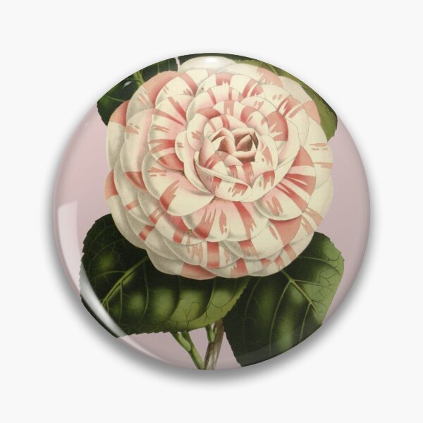 Item preview, Pale Pink and White Camellia Flower designed and sold by IrisAndIvy.