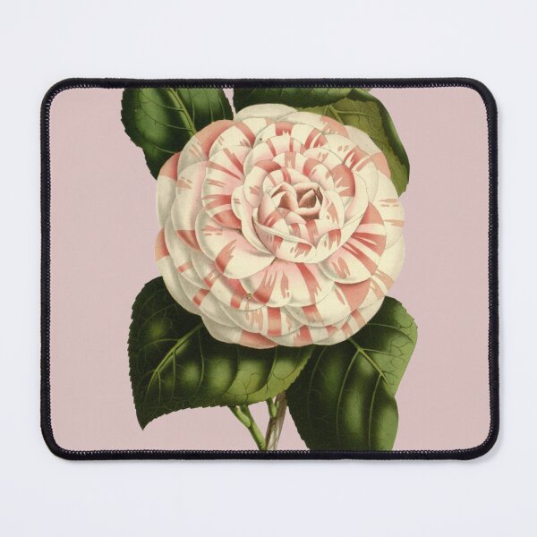 Item preview, Pale Pink and White Camellia Flower designed and sold by IrisAndIvy.
