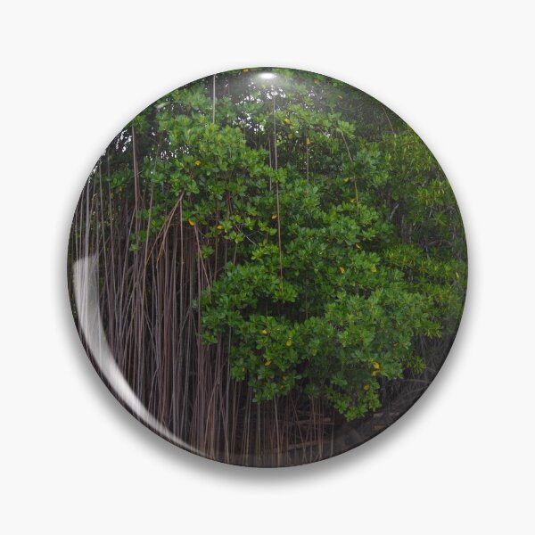 Item preview, Mangrove trees in Fiji designed and sold by Dreamscape Eclectic .
