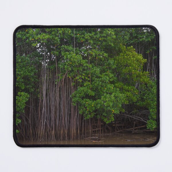 Item preview, Mangrove trees in Fiji designed and sold by Dreamscape Eclectic .
