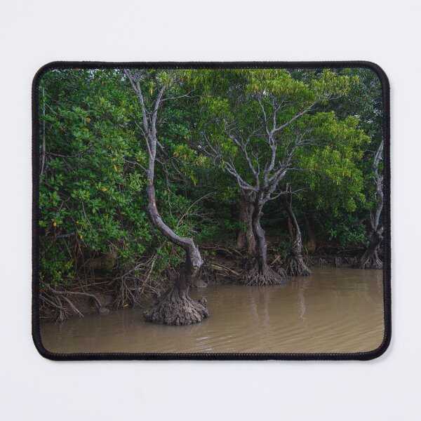 Item preview, Mangrove trees in Fiji designed and sold by Dreamscape Eclectic .