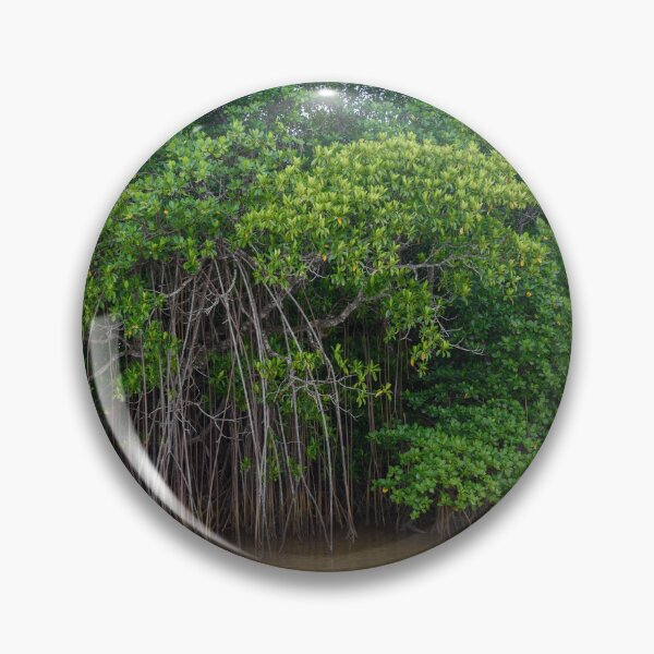 Item preview, Mangrove trees in Fiji designed and sold by Dreamscape Eclectic .