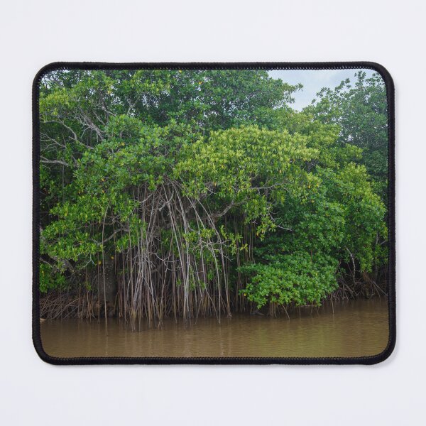 Item preview, Mangrove trees in Fiji designed and sold by Dreamscape Eclectic .
