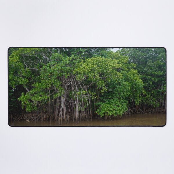 Item preview, Mangrove trees in Fiji designed and sold by Dreamscape Eclectic .