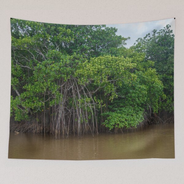 Item preview, Mangrove trees in Fiji designed and sold by Dreamscape Eclectic .