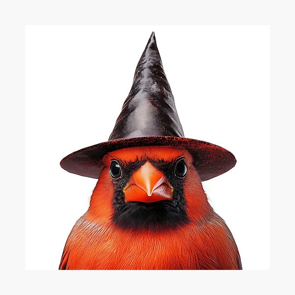 Item preview, Northern Cardinal bird Wearing Halloween Witch Hat designed and sold by LazyOwlStore.