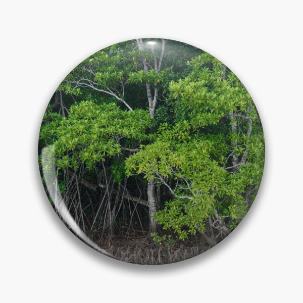 Item preview, Mangrove trees in Fiji designed and sold by Dreamscape Eclectic .