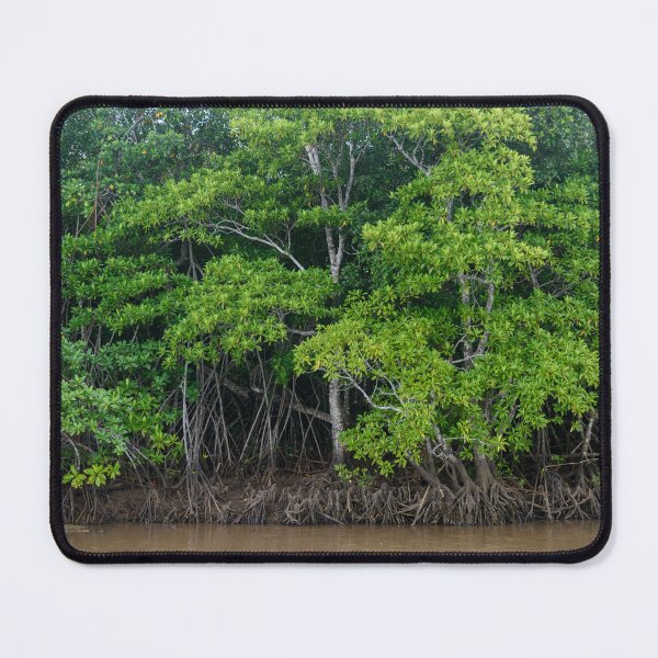Item preview, Mangrove trees in Fiji designed and sold by Dreamscape Eclectic .