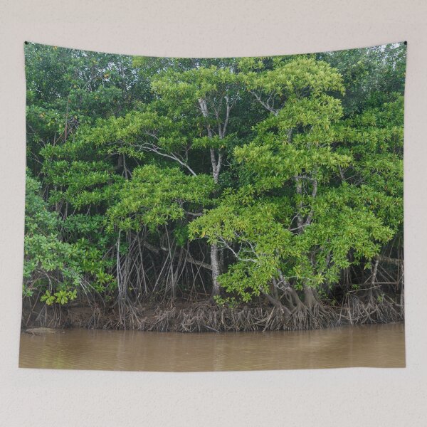 Item preview, Mangrove trees in Fiji designed and sold by Dreamscape Eclectic .