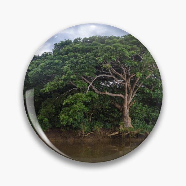Item preview,  Mangrove trees in Fiji designed and sold by Dreamscape Eclectic .