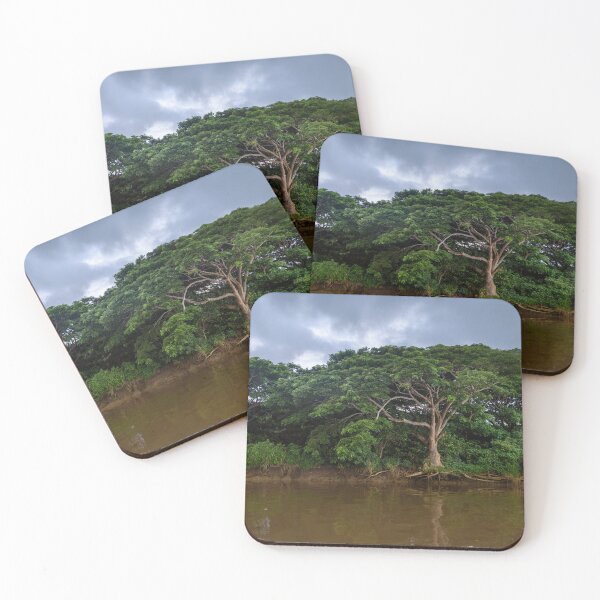Item preview,  Mangrove trees in Fiji designed and sold by Dreamscape Eclectic .