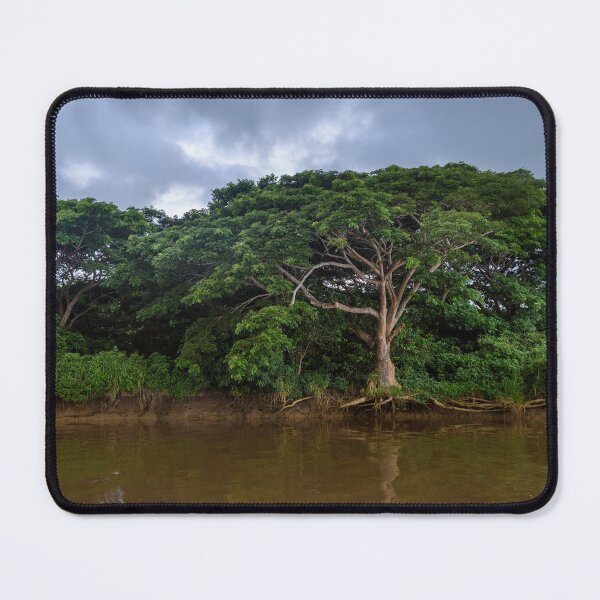 Item preview,  Mangrove trees in Fiji designed and sold by Dreamscape Eclectic .