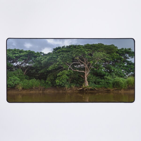 Item preview,  Mangrove trees in Fiji designed and sold by Dreamscape Eclectic .
