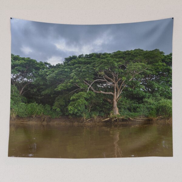 Item preview,  Mangrove trees in Fiji designed and sold by Dreamscape Eclectic .