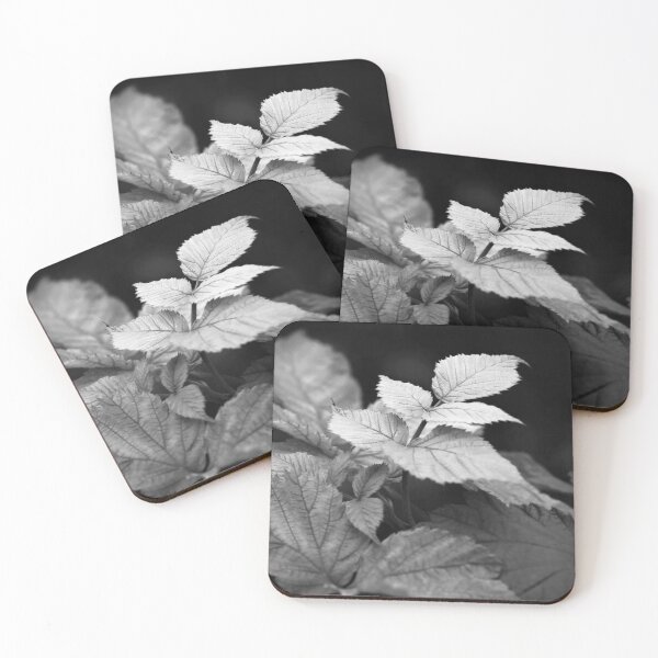Item preview, Black and White Nature #5 designed and sold by NickDedidis.