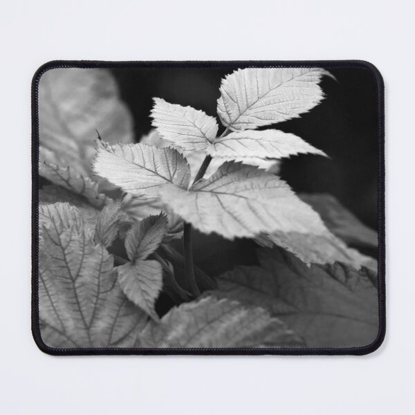 Item preview, Black and White Nature #5 designed and sold by NickDedidis.