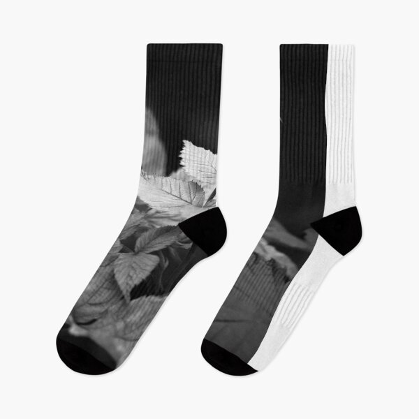 Item preview, Black and White Nature #5 designed and sold by NickDedidis.