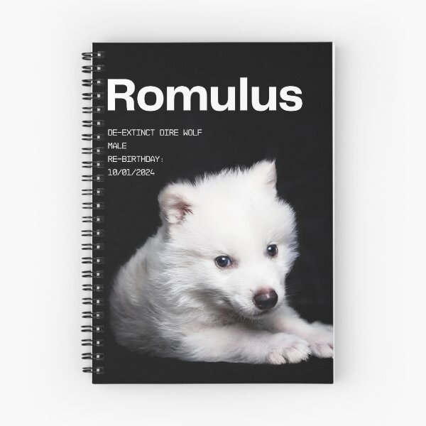 Item preview, Romulus - deextincted dire male wolf birth in 2024 october  designed and sold by EmeraldeaArt.