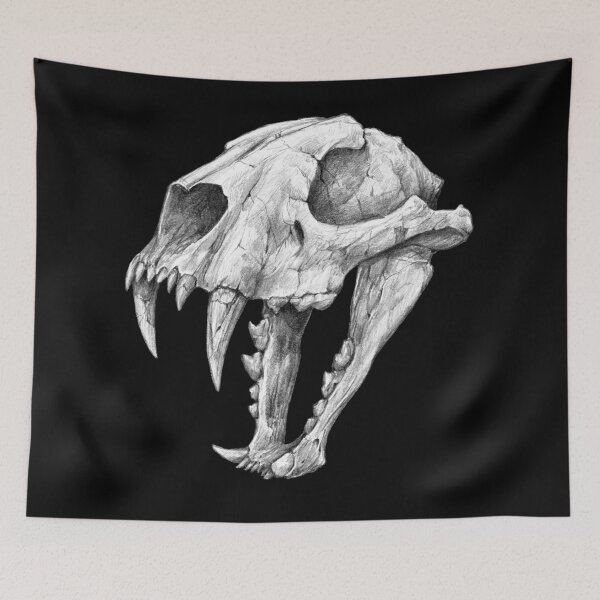 Item preview, Dinictis, The 'False Sabertooth Cat' skull | Graphite Pencil Art designed and sold by Tatiana Yamshanova.