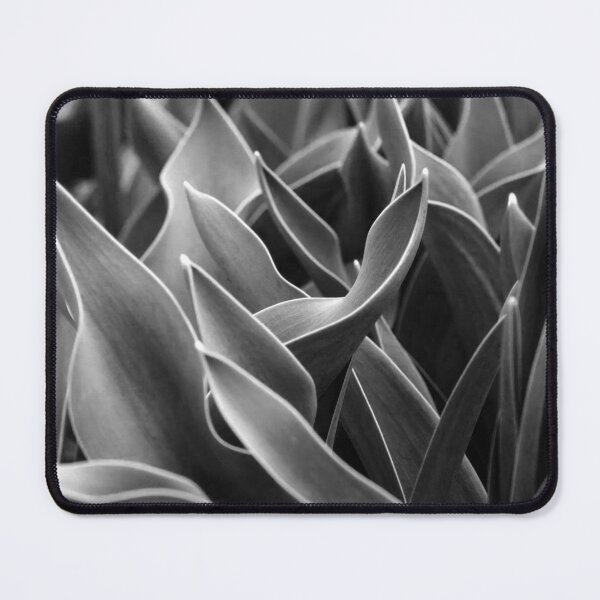Item preview, Black and White Nature #4 designed and sold by NickDedidis.