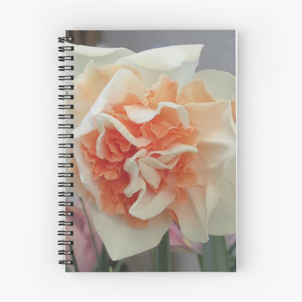 Item preview, The Intricate Beauty Of A Narcissus Flower designed and sold by lezvee.