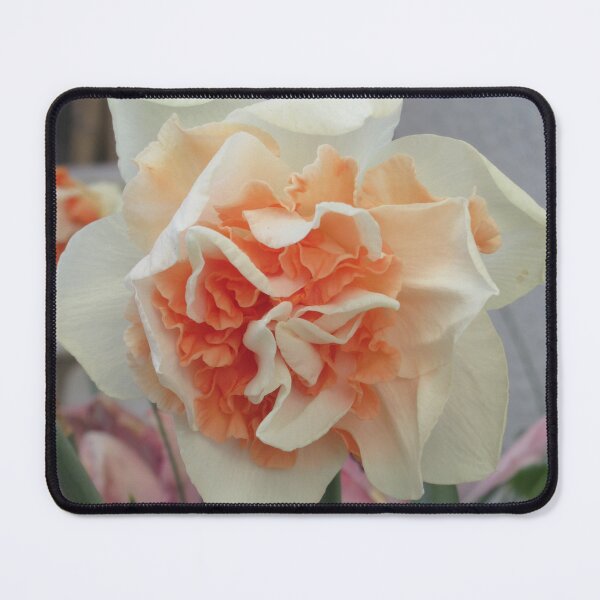 Item preview, The Intricate Beauty Of A Narcissus Flower designed and sold by lezvee.