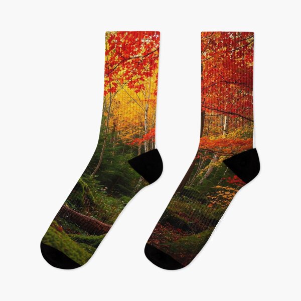 Item preview, Colorful Forest During Autumn Season designed and sold by javastocks.