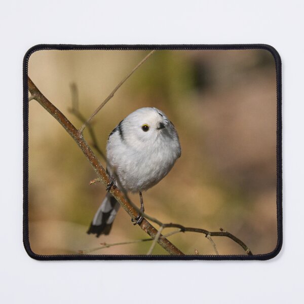 Item preview, Long-tailed tit on yellow ocher designed and sold by Jouko Lehto Photography.