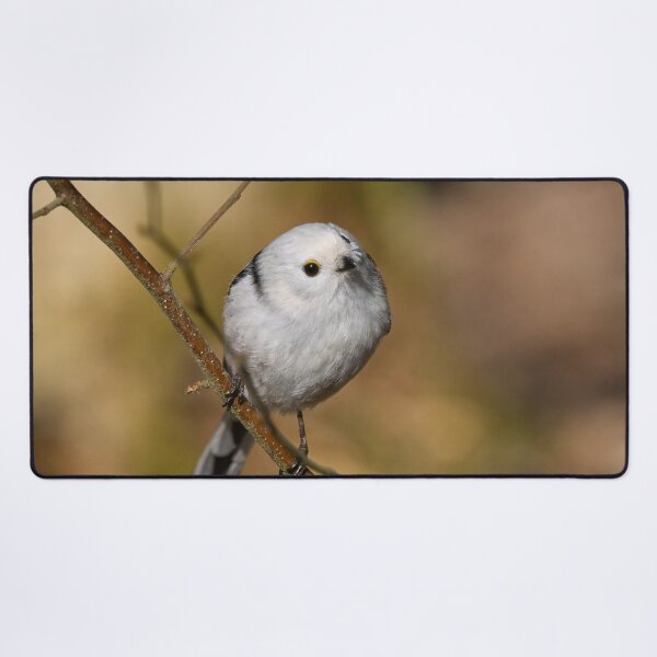 Item preview, Long-tailed tit on yellow ocher designed and sold by Jouko Lehto Photography.