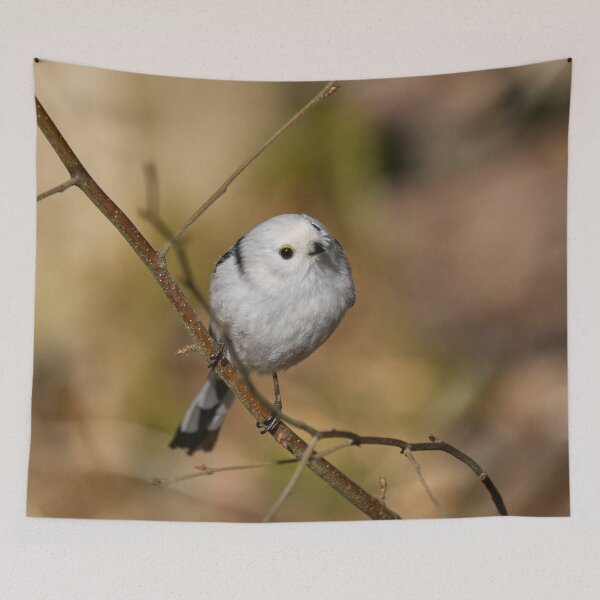 Item preview, Long-tailed tit on yellow ocher designed and sold by Jouko Lehto Photography.