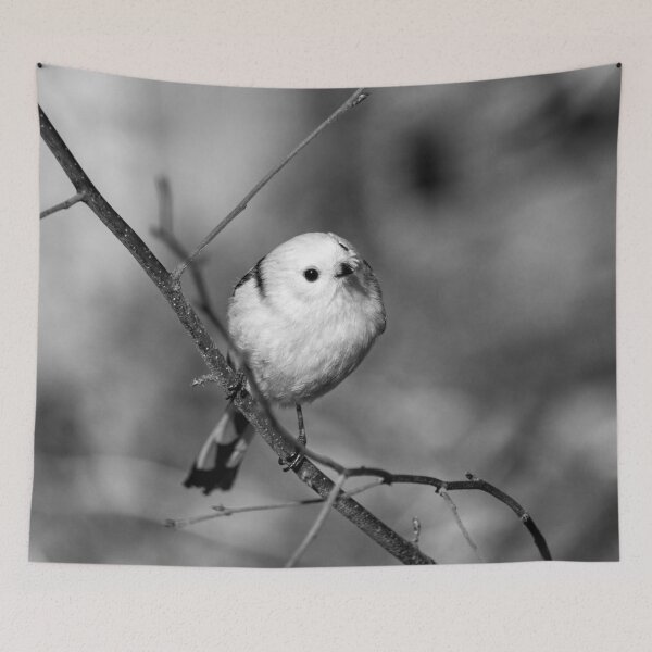 Item preview, Long-tailed tit on yellow ocher bw designed and sold by Jouko Lehto Photography.