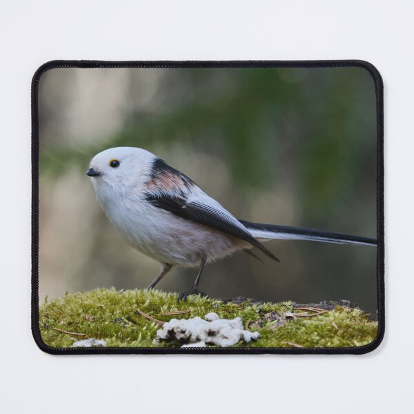 Item preview, On the ground. Long-tailed tit designed and sold by Jouko Lehto Photography.