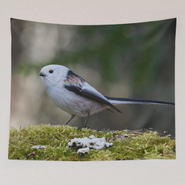 Item preview, On the ground. Long-tailed tit designed and sold by Jouko Lehto Photography.
