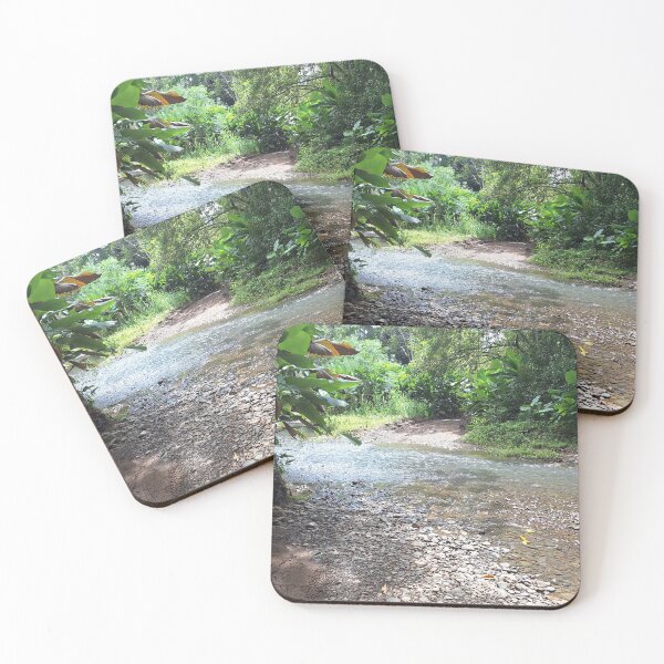 Item preview, Tranquil Jungle Stream | Connect with Nature in Central America designed and sold by Quantum-Life.